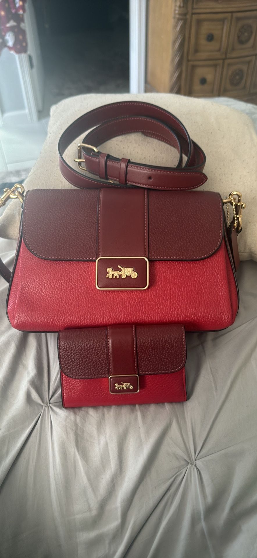 Coach Wallet And purse