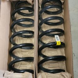 2017-2020 Ford Raptor OEM Front Springs