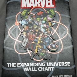 Marvel : The Expanding Universe Wall Chart by Michael Mallory (Hardcover)