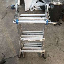Folding Ladder 