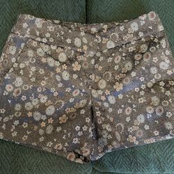 Brand New Without Tags Ann Taylor Loft 00 Shorts