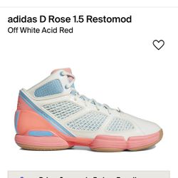 D Rose Shoes Size 12