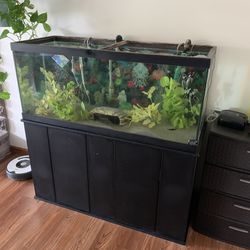 75 Gallon Fish Tank  (available)