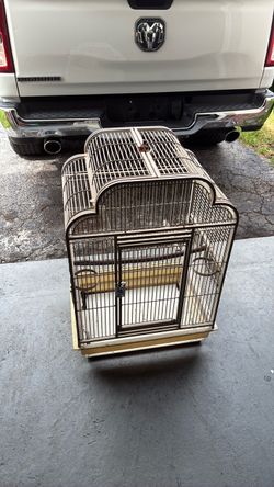 Bird Cage