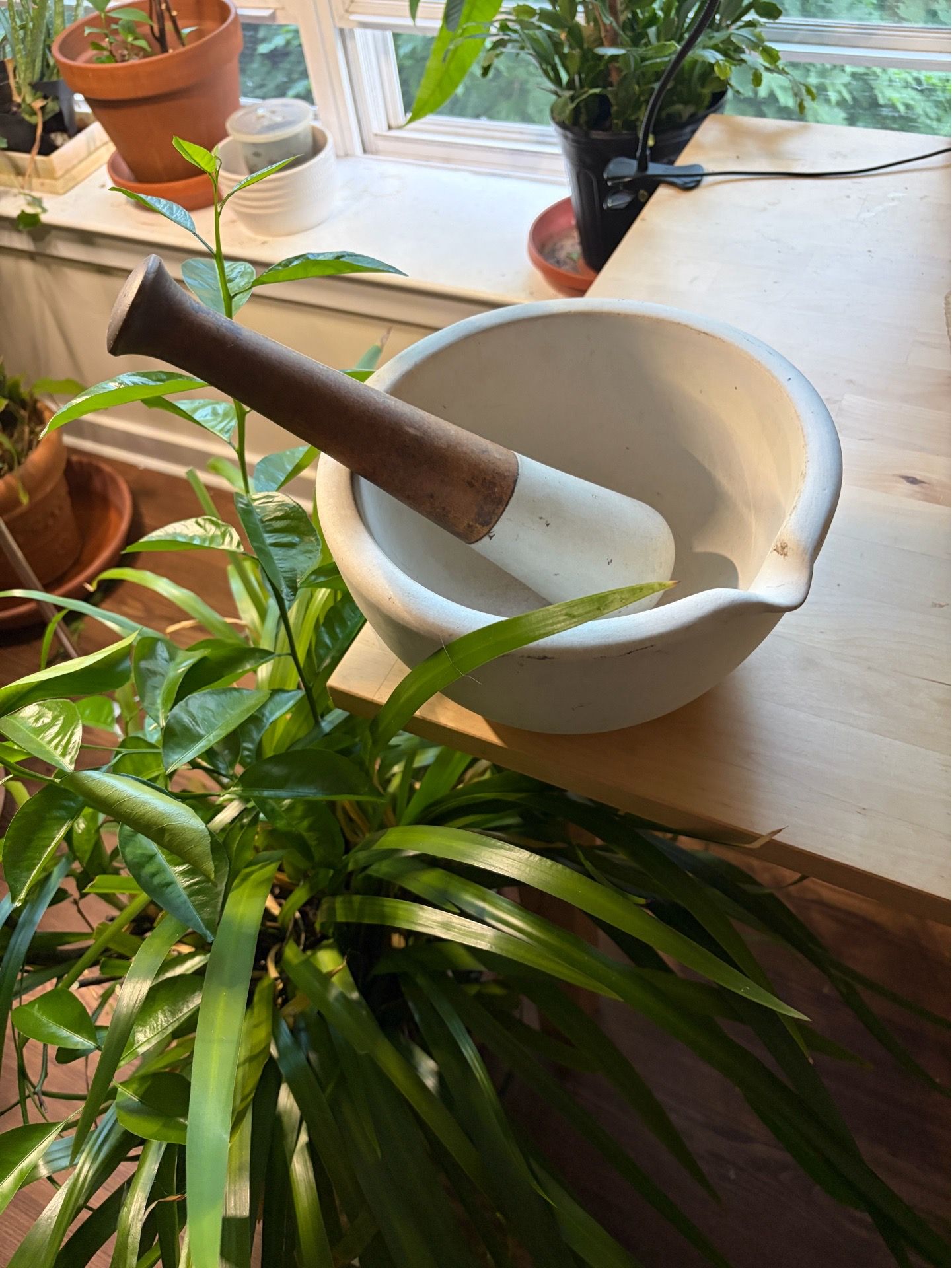 Frederic Robinson, etchings mortar and pestle Nikon DSLR