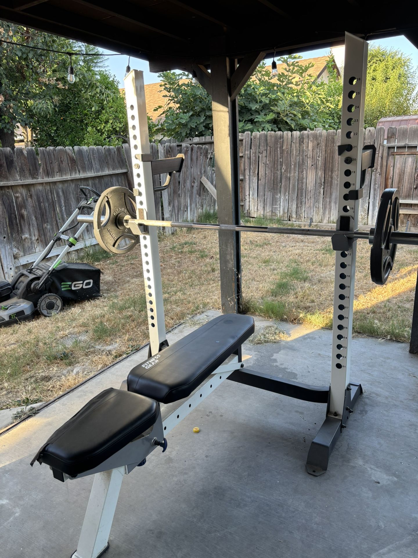 Bench Press
