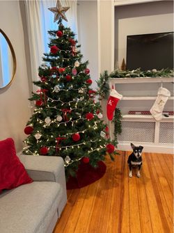 Christmas Tree