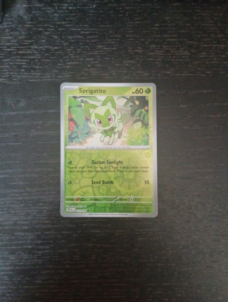 Pokemon Card