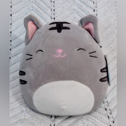 Squishmallow Tally The Tabby Kitty Cat 8" Squishmallow  Grey Cat NWT 2021 