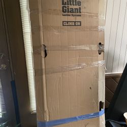 Little Giant Ladder