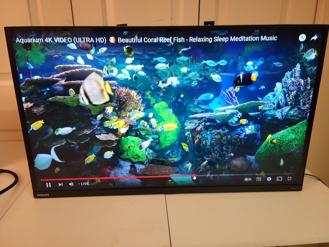 32 Inch Philips Roku Smart TV With Remote for Sale