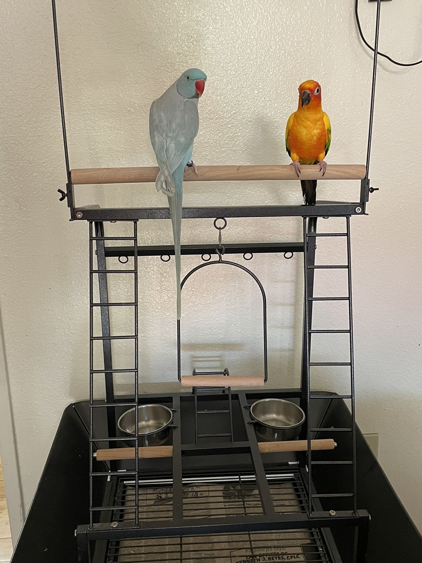 Parrot Playstand/ Bird Cage