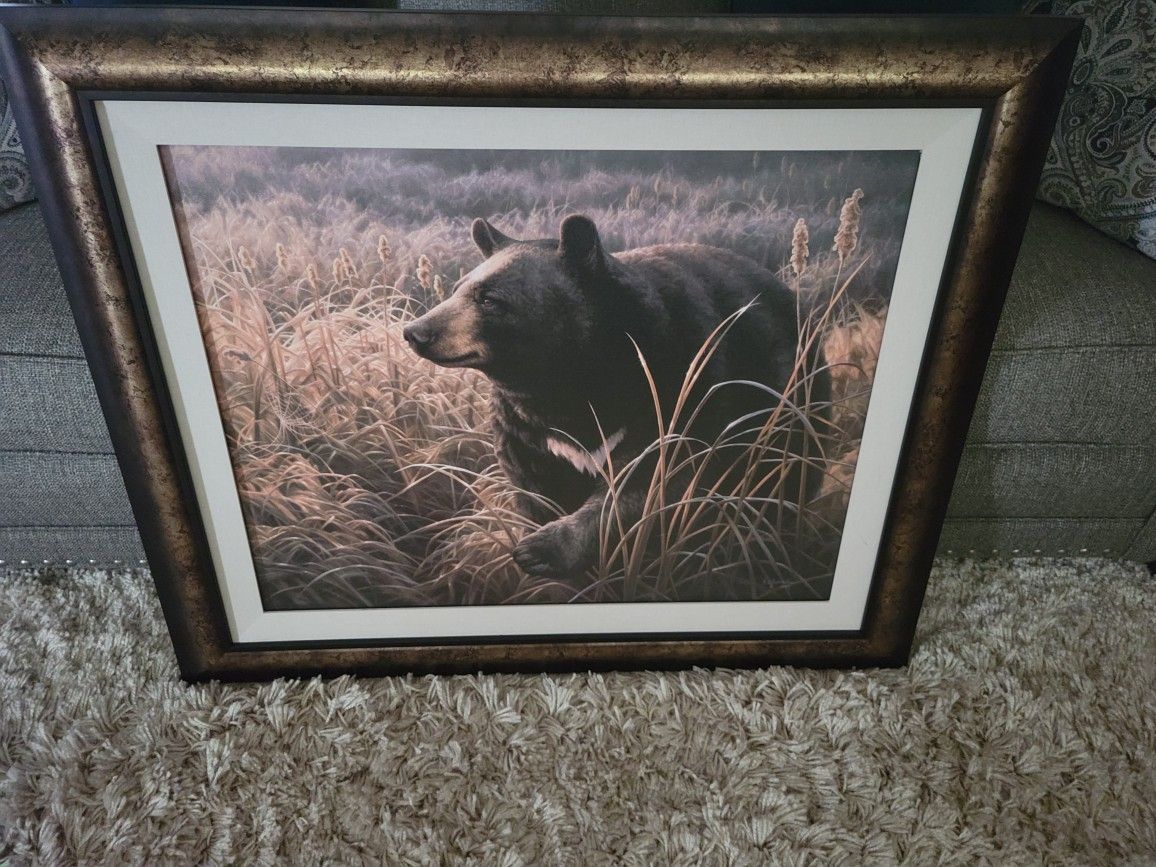 Framed Wildlife Art