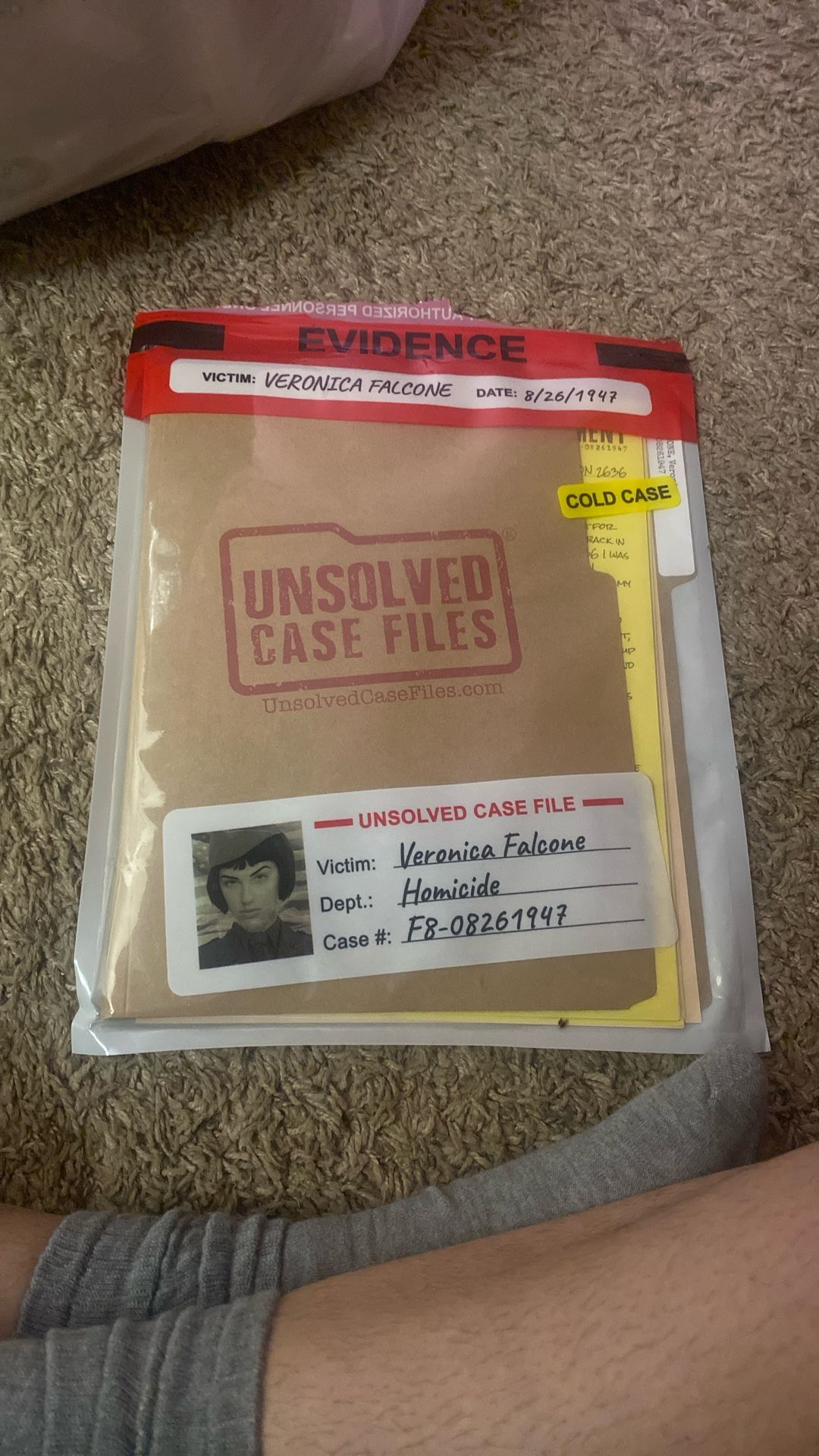Unsolved Case File Game 