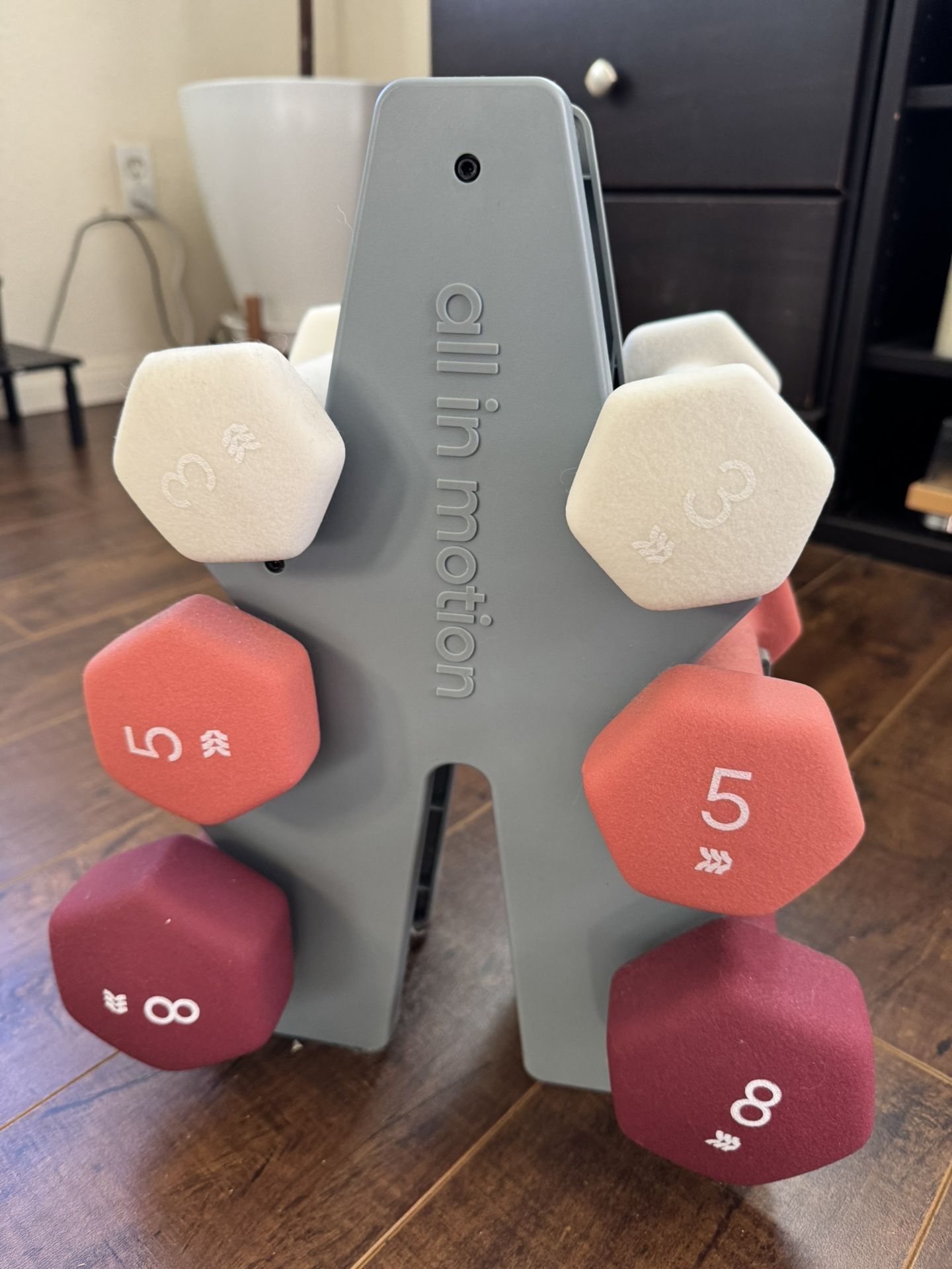 All In Motion Dumbbell Set 3 5 8 LB X2 With Holder