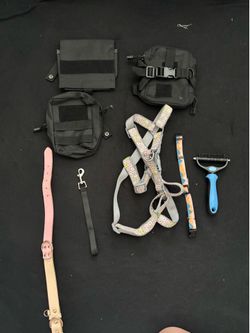 Dog gear
