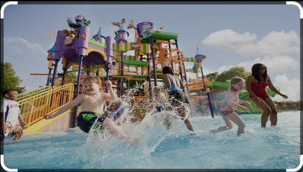 Sea World Or Sesame Place 