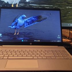 "15.6" Touchscreen Laptop, Intel i5 10th Gen, 12GB RAM, 256GB SSD, Windows 11