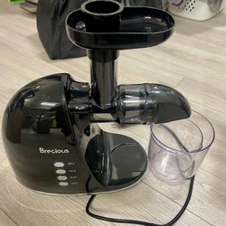 Slow Masticating Juicer,Brecious Cold Press Juicer with 2 Speed Modes & Quiet Mo