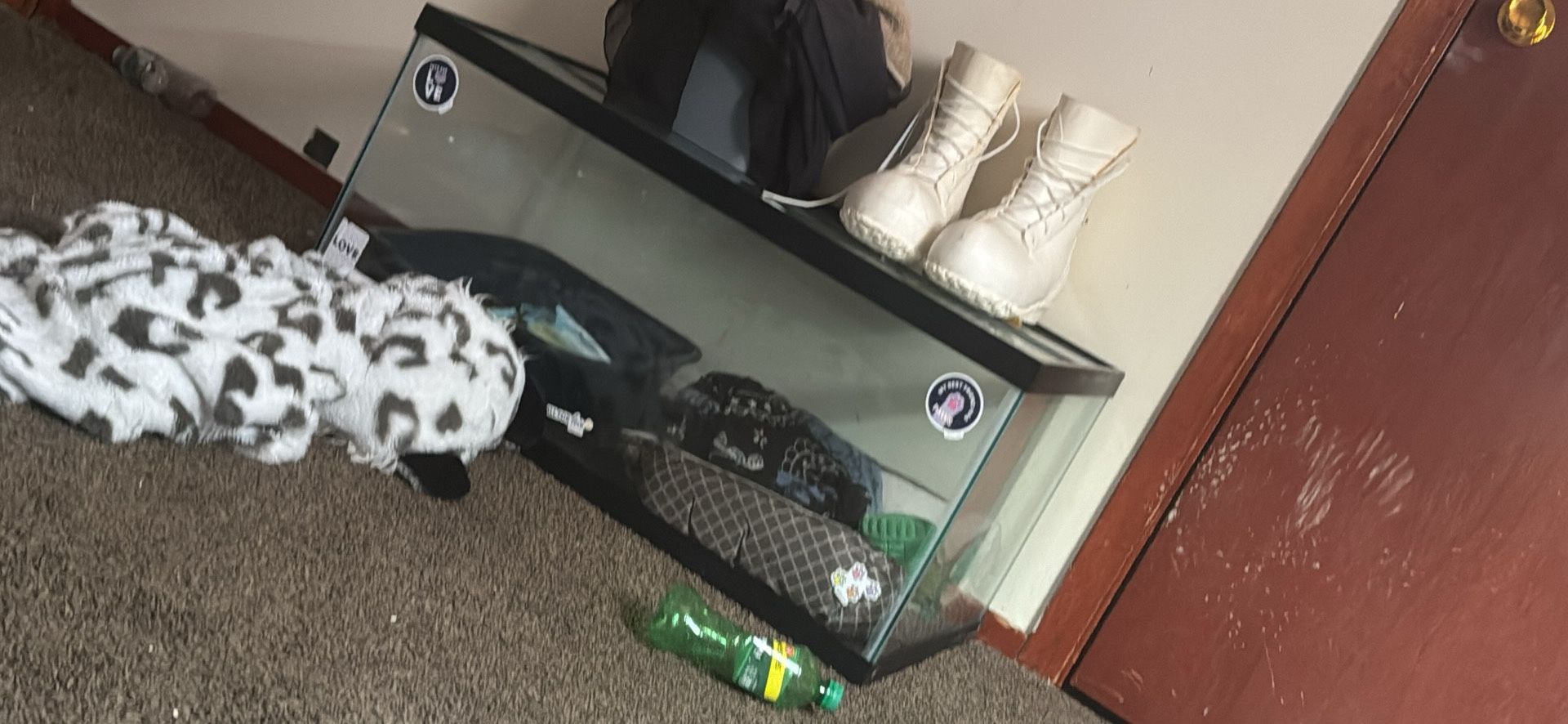 Fish Tank