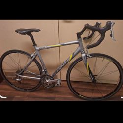 Giant OCR2 ROAD BIKE BICYCLE 59CM SZ L