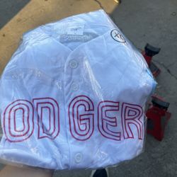 Los Angeles Dodgers Mexican Heritage Night Jersey Medium.