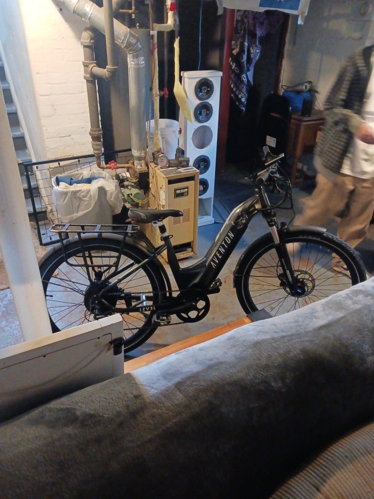 Electric Bike 800