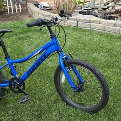 Giant XtC Jr 20 Lite Bike