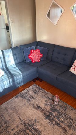 Small Sectional couch