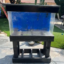 Fish Tank 