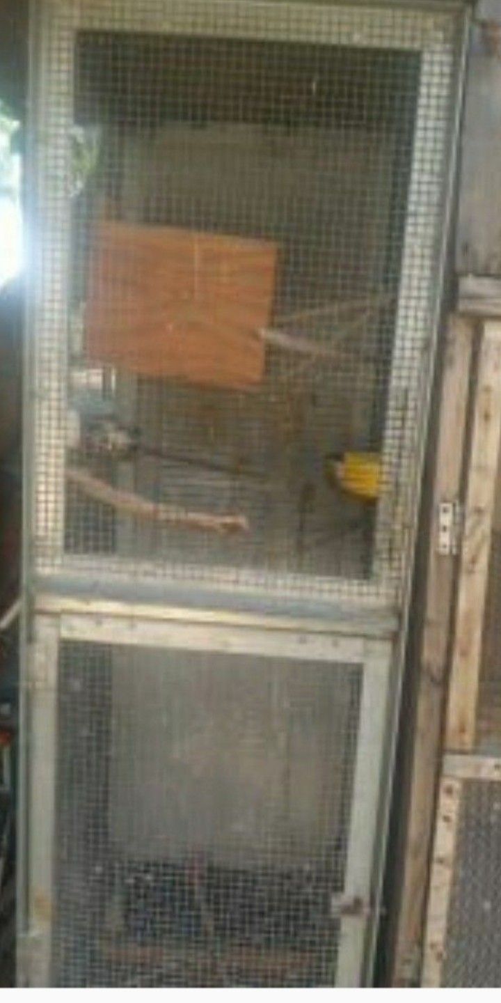 Bird CAGE