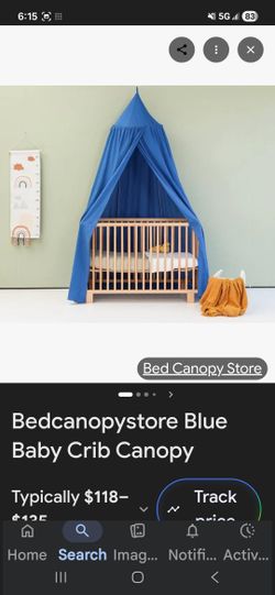 Blue Bed Canopy