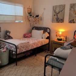 2 Twin Metal Bed Frames