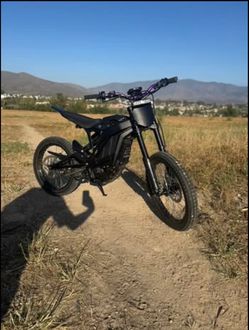 E Ride Pro 3.0