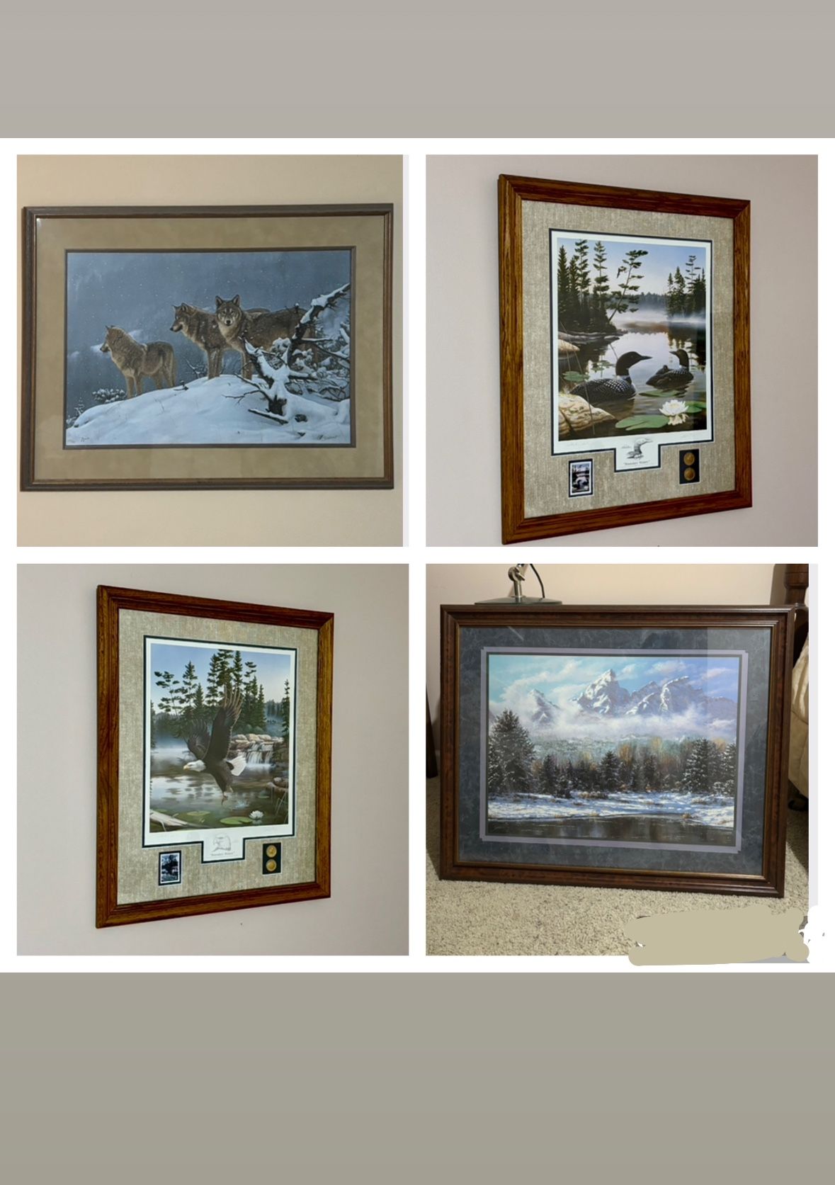 Framed Nature Artworks- Full Set Or Separate Pieces