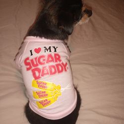 Small Dog Shirt