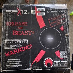 NEW RE Audio SEX V2 12" D4 SUBWOOFER