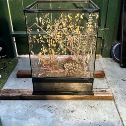 30 Gallon Terrarium Enclosure
