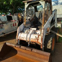 753 Bobcat 