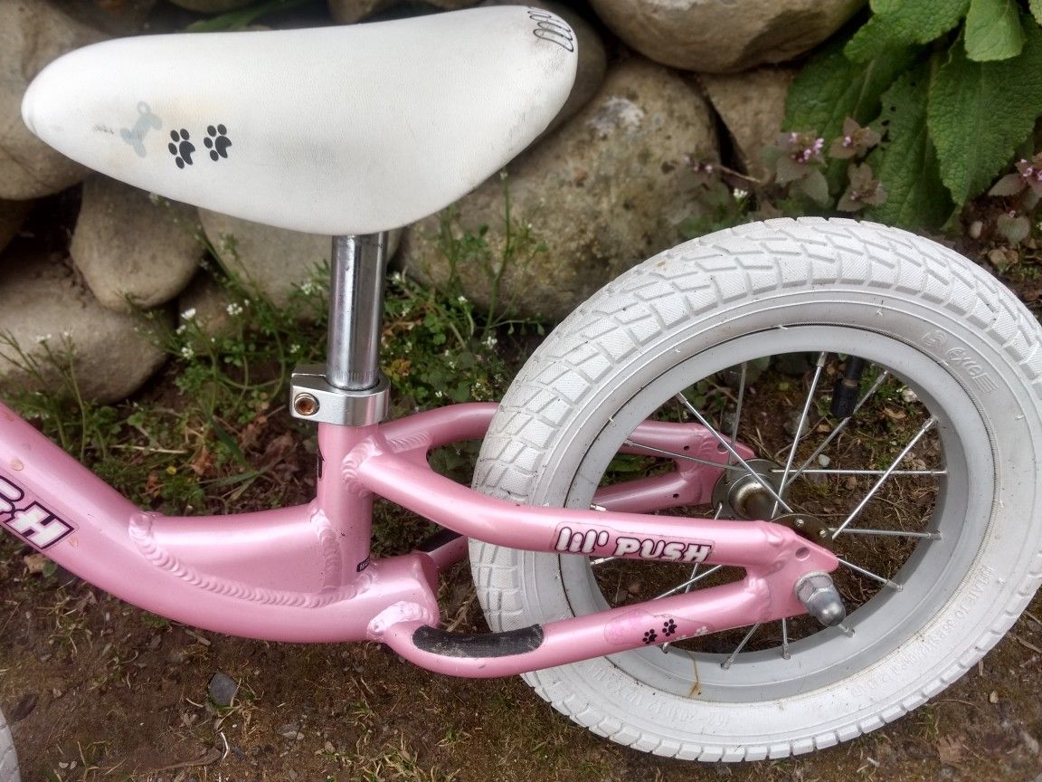 raleigh lil push balance bike