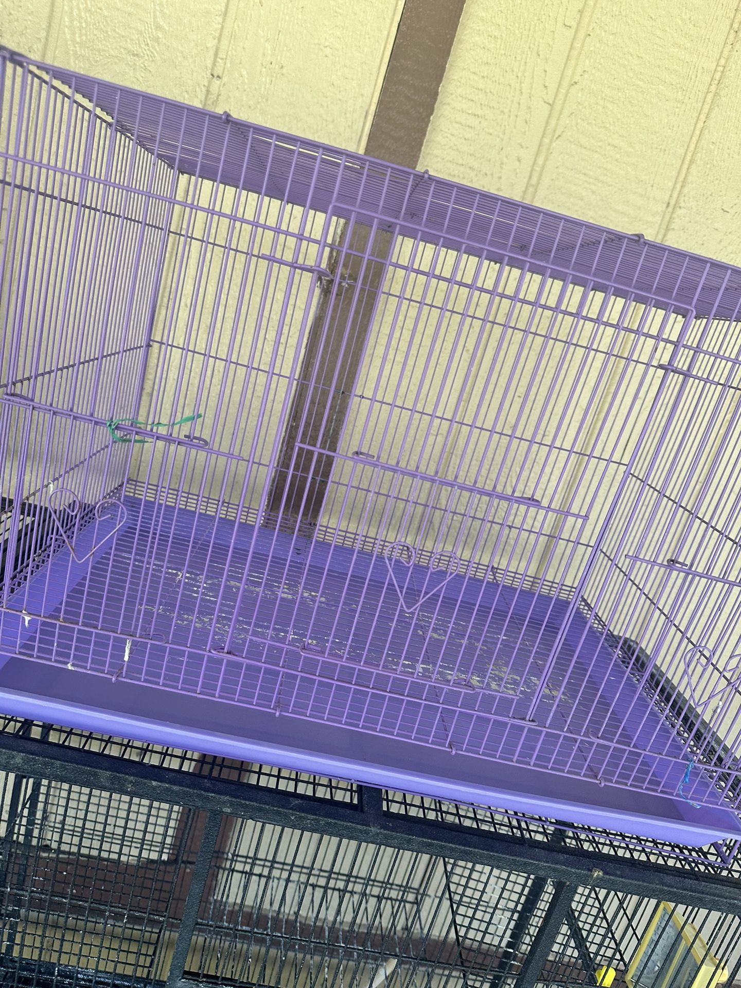 Bird Cage