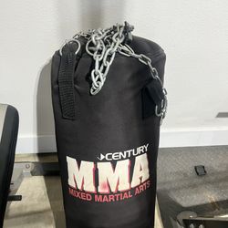 Century Boxing Bag