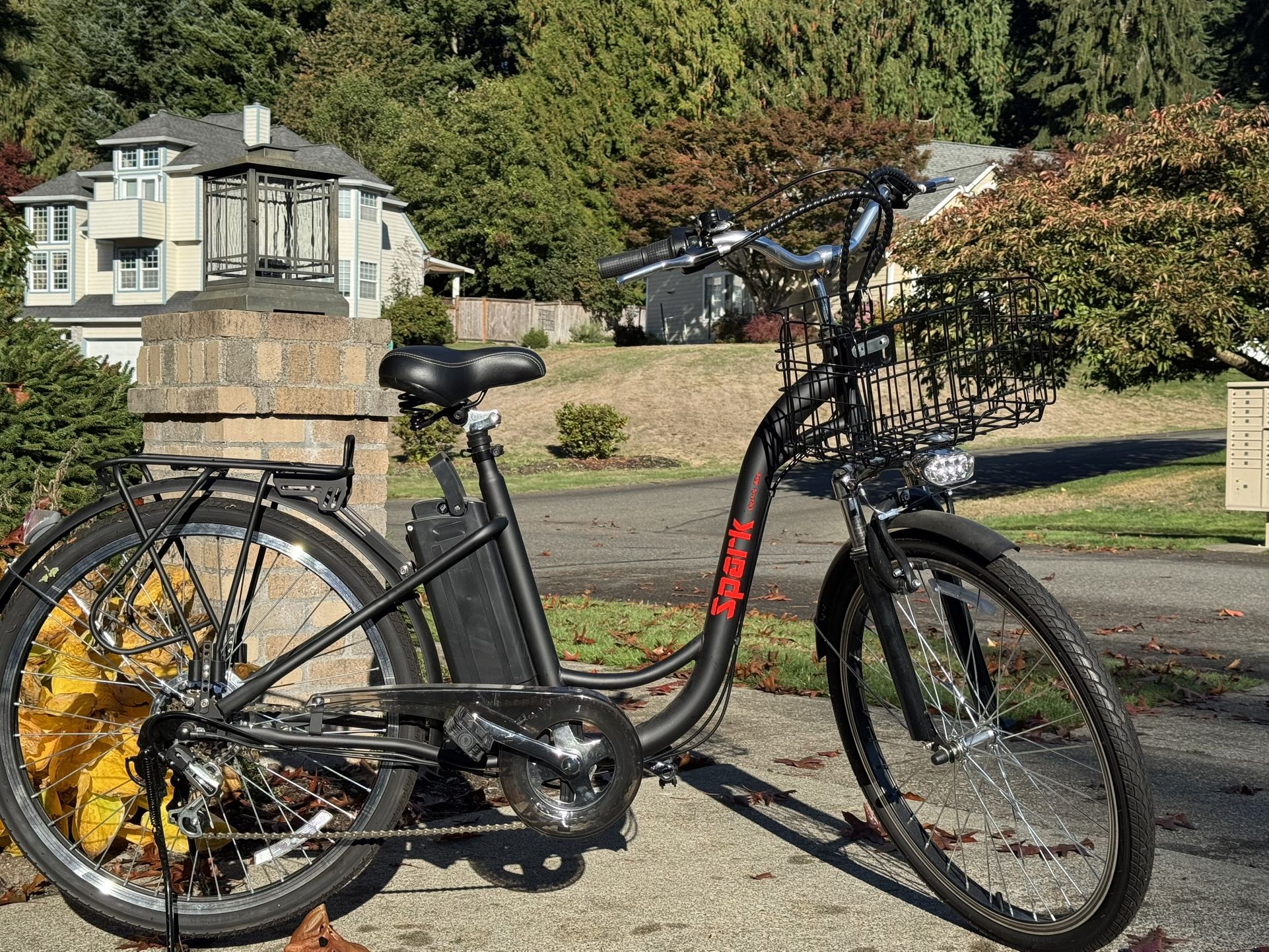Electric Bike!