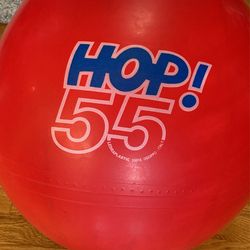 Childrens Toys Christmas Gift Classroom Homeschool Bouncy Ball Hop 55 Fun Exercise Outdoors Or Inside Fun!  Cute Gifts 