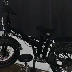 Electric Bike
