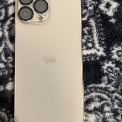 iPhone 13 Pro Max With TikTok 