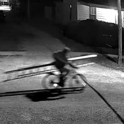 Thieves From The House On 2nd And Pine