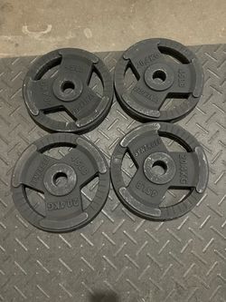 Olympic Weights 45lb