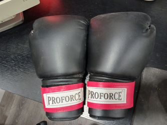 Boxing Gloves For Cardio Building, 24 Oz!