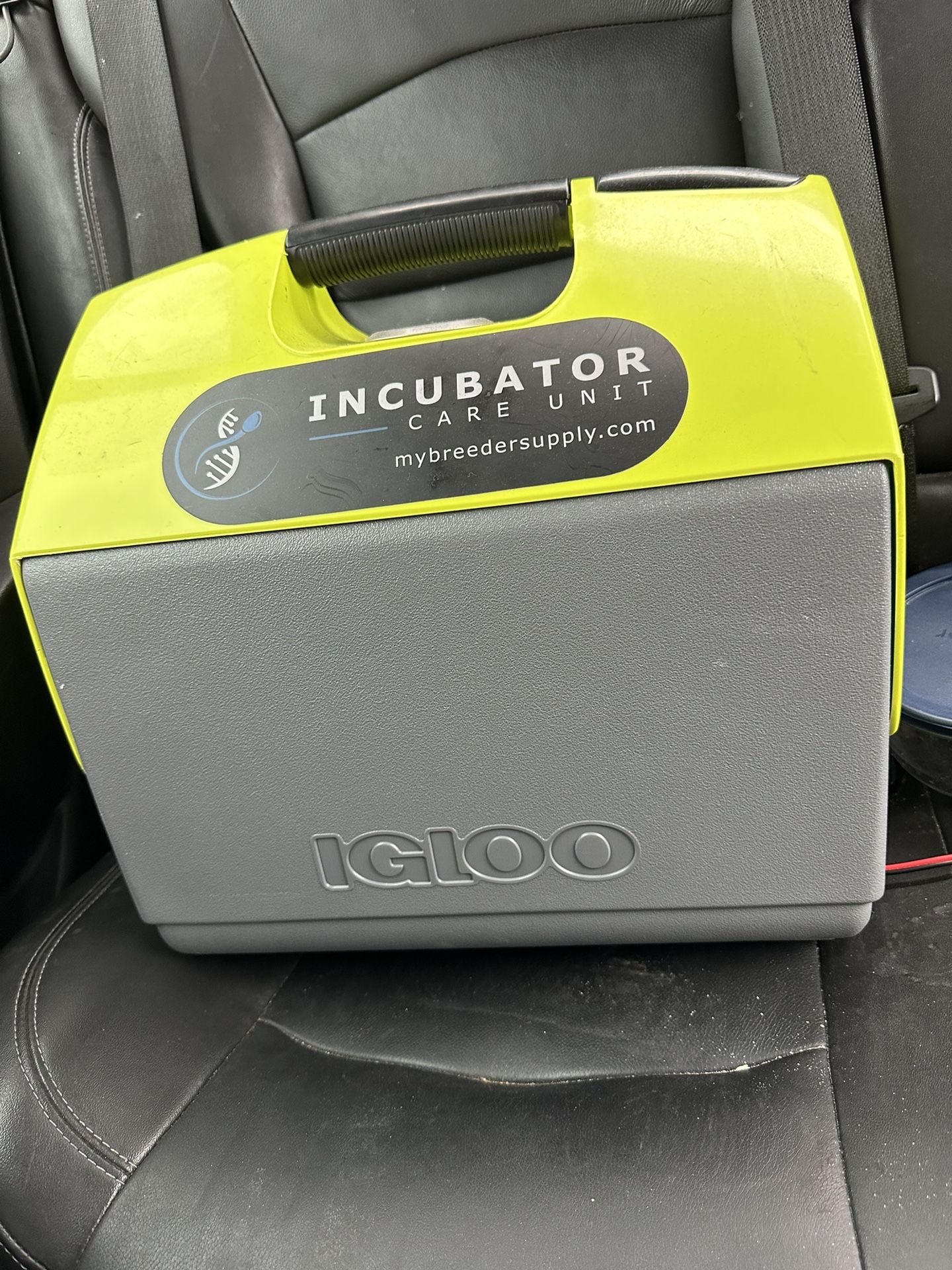 Portable Incubator